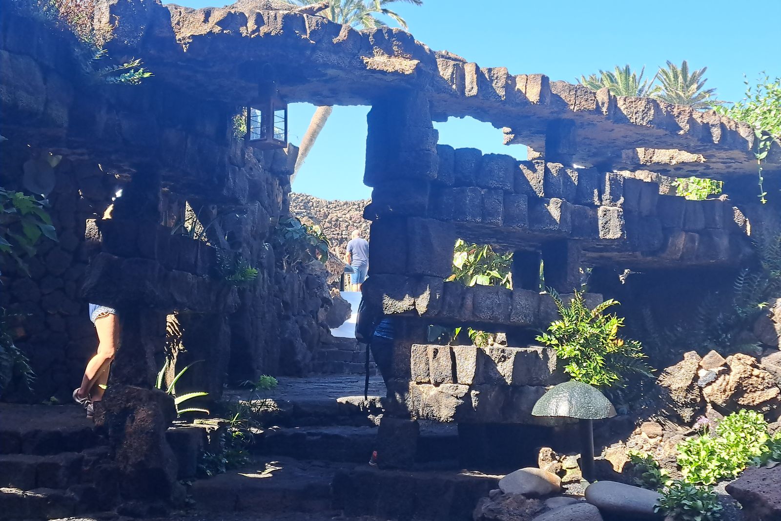 Entrada con palmeras y piedra volcánica en los Jameos del Agua, Lanzarote